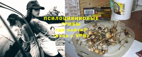 PSILOCYBIN Касимов