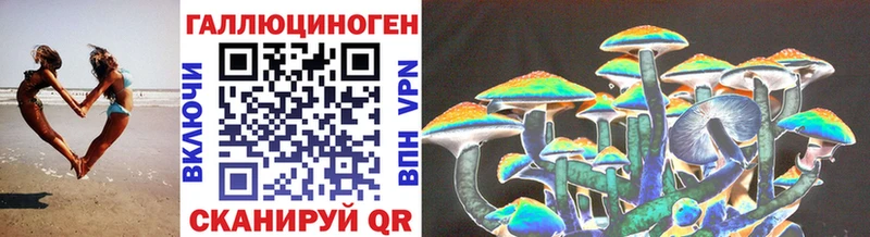 Псилоцибиновые грибы мицелий shop Telegram Котовск где продают